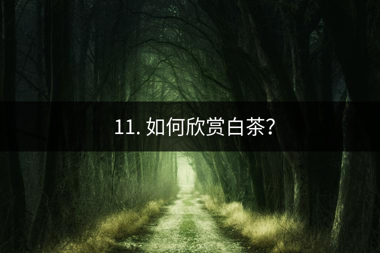 ??11. 如何欣賞白茶？