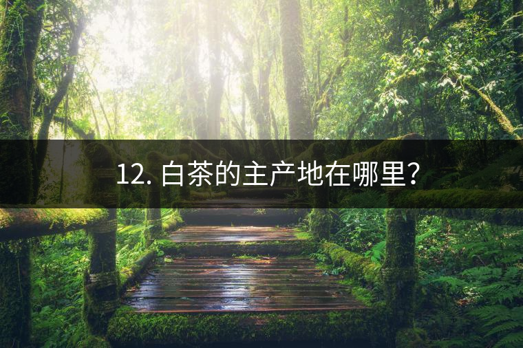 ? 12. 白茶的主產(chǎn)地在哪里？