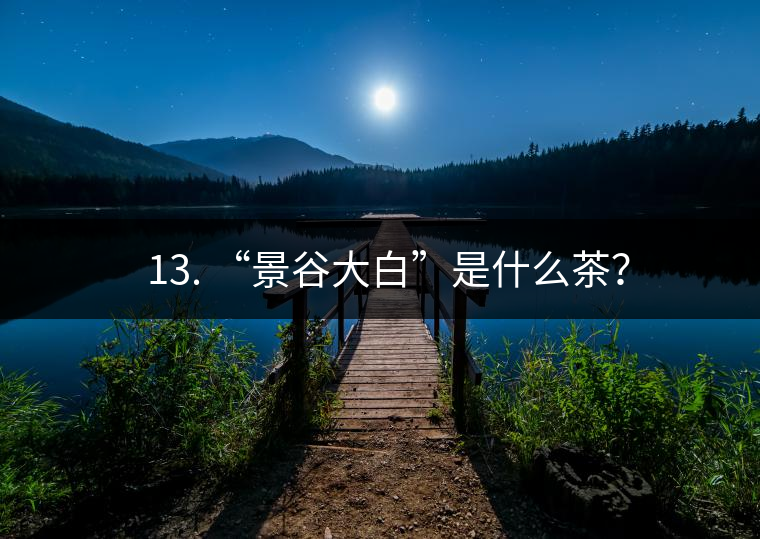 ? 13. “景谷大白”是什么茶？