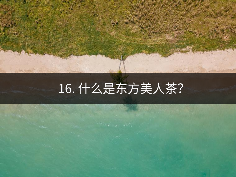 ? 16. 什么是東方美人茶？