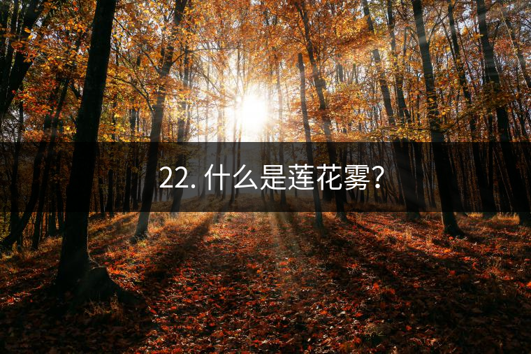 ? 22. 什么是蓮花霧？