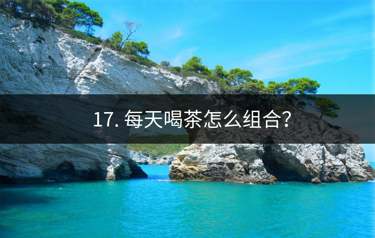 ? 17. 每天喝茶怎么組合？