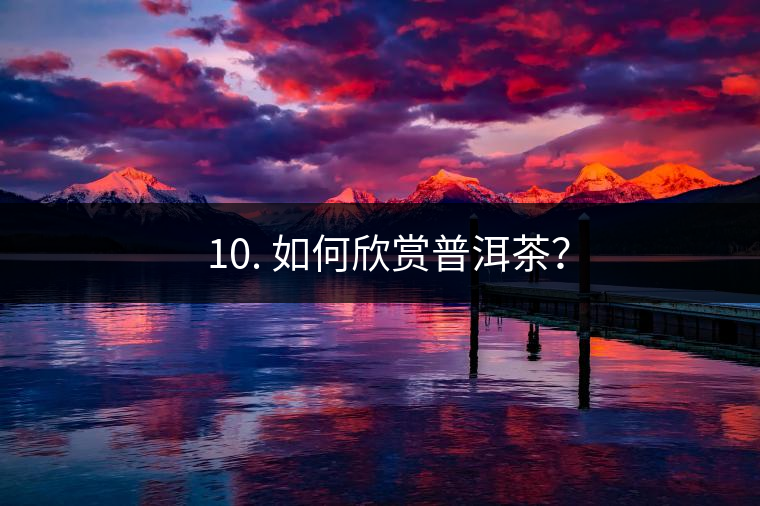 ? 10. 如何欣賞普洱茶？