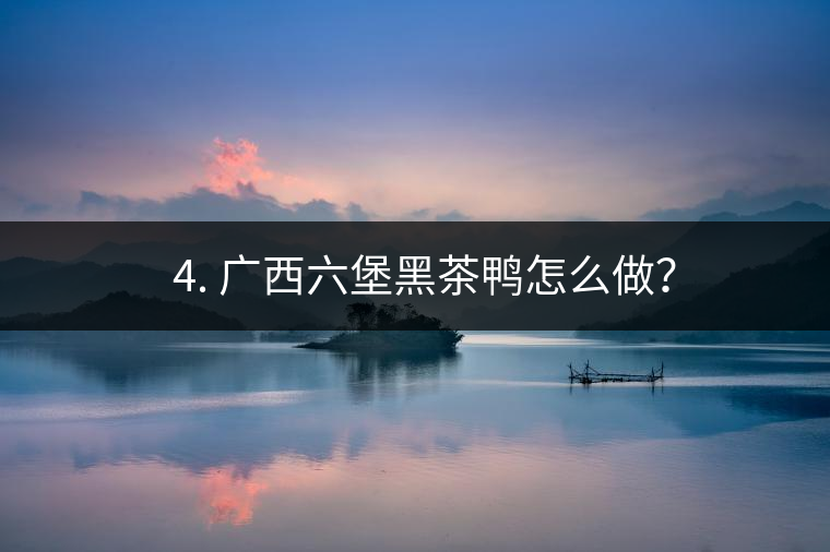 ? 4. 廣西六堡黑茶鴨怎么做？