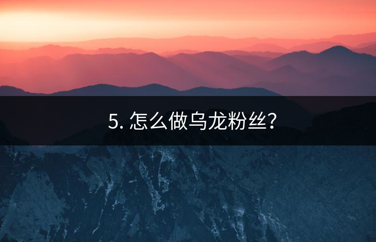 ? 5. 怎么做烏龍粉絲？