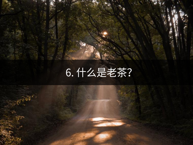 ? 6. 什么是老茶？