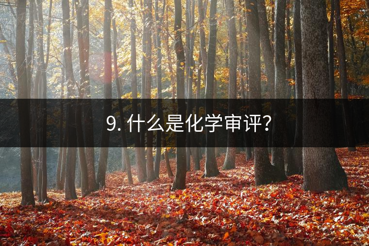 ? 9. 什么是化學(xué)審評(píng)？