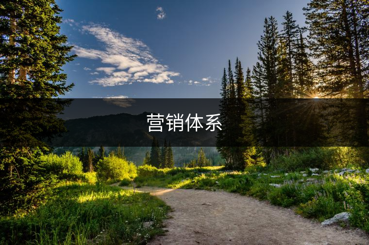 營(yíng)銷體系 營(yíng)銷體系
