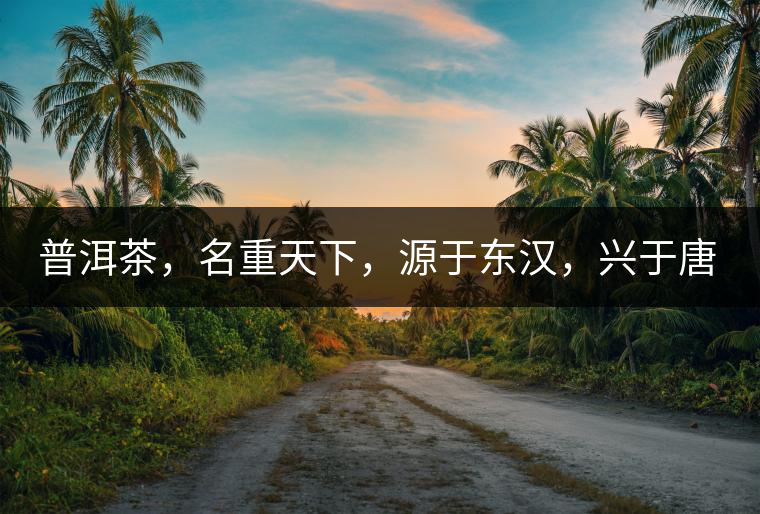 普洱茶，名重天下，源于東漢，興于唐宋，盛于明清。