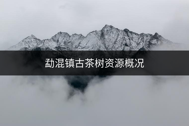 勐混鎮(zhèn)古茶樹資源概況