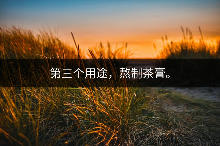 第三個用途，熬制茶膏。