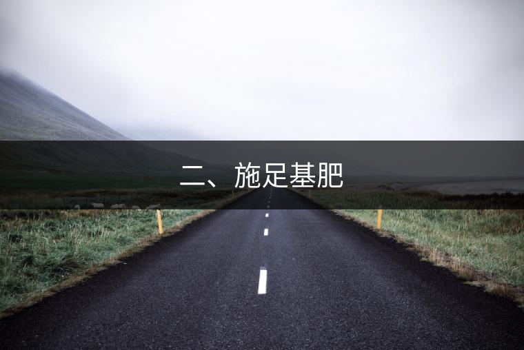 二、施足基肥