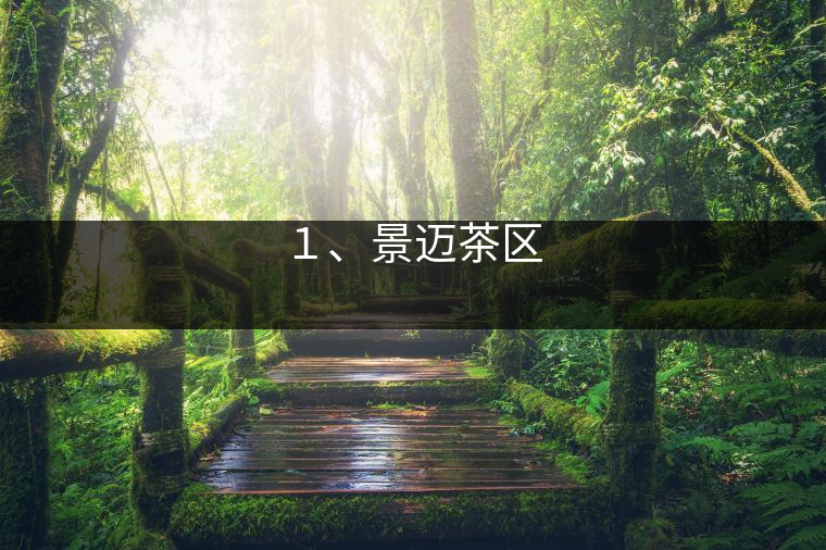 ２、南糯山茶區(qū)
?