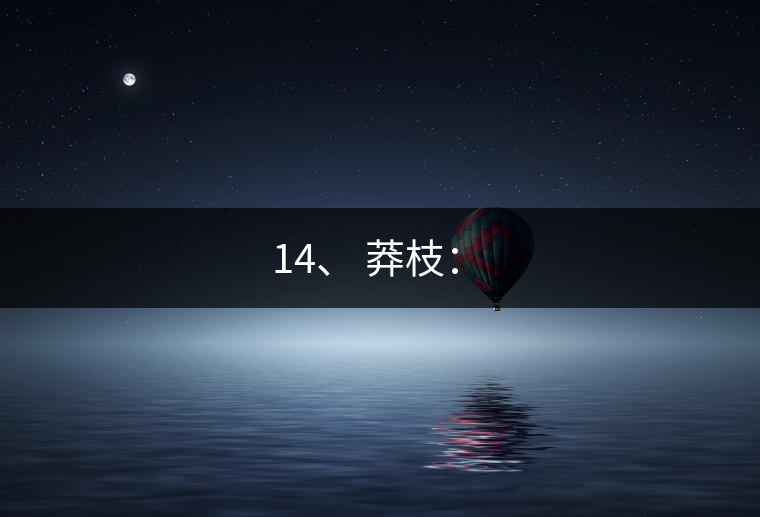 14、 莽枝：?