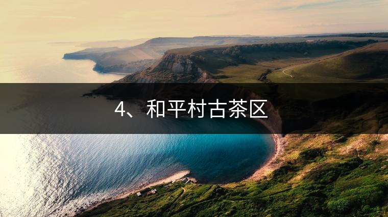 4、和平村古茶區(qū) ?