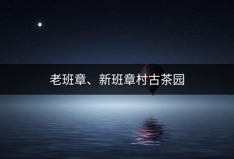 老班章、新班章村古茶園