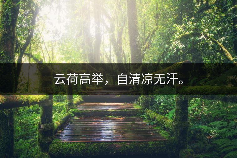 云荷高舉，自清涼無(wú)汗。