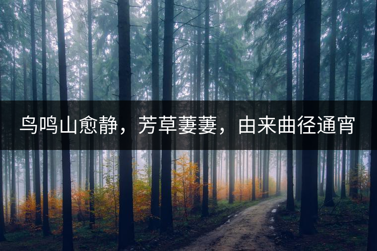 鳥(niǎo)鳴山愈靜，芳草萋萋，由來(lái)曲徑通宵漢。