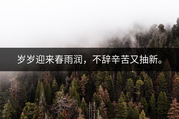 歲歲迎來春雨潤，不辭辛苦又抽新。