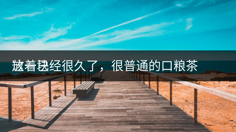 這一塊
放著已經(jīng)很久了，很普通的口糧茶，煙味很重，但回甘也可以，隨意喝喝吧。