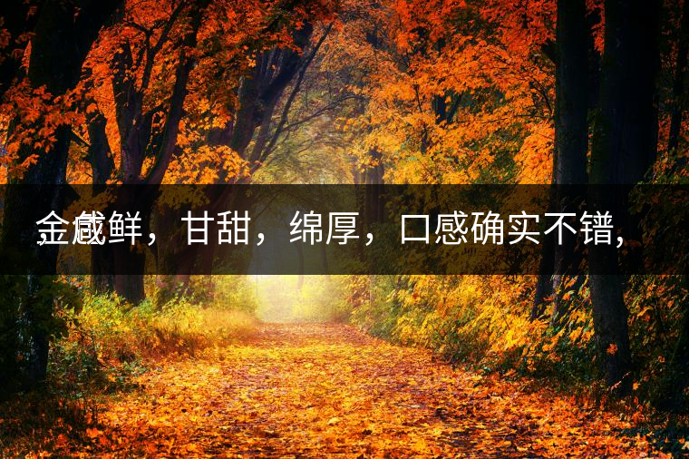 金色
，咸鮮，甘甜，綿厚，口感確實(shí)不鐠,還有上升空間。