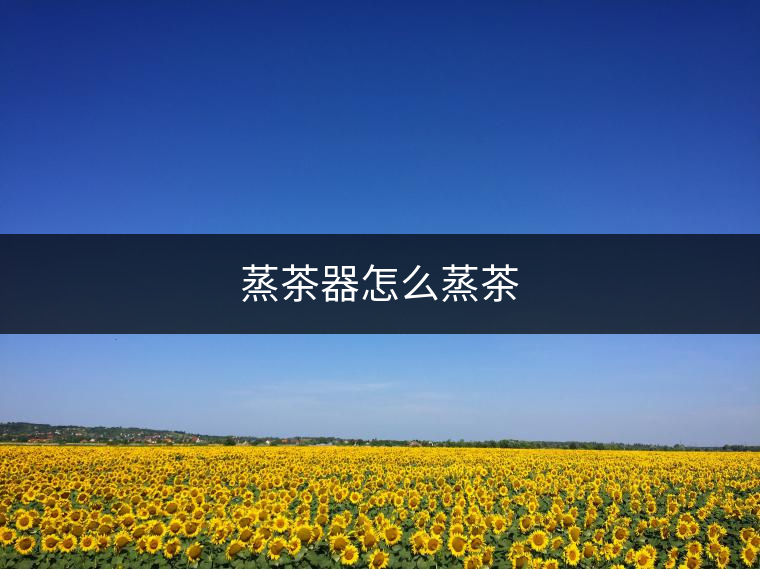 蒸茶器怎么蒸茶 蒸茶器怎么蒸茶
