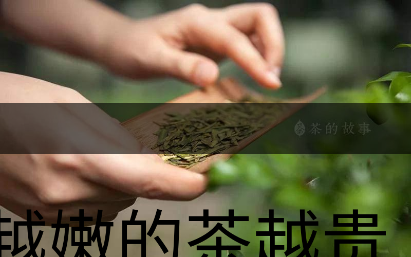 越嫩的茶越貴，但越貴的茶就越好嗎？