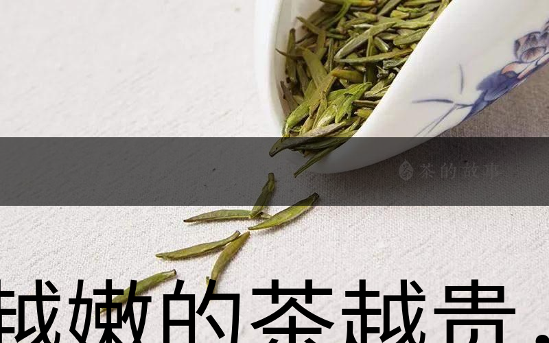 越嫩的茶越貴，但越貴的茶就越好嗎？-1