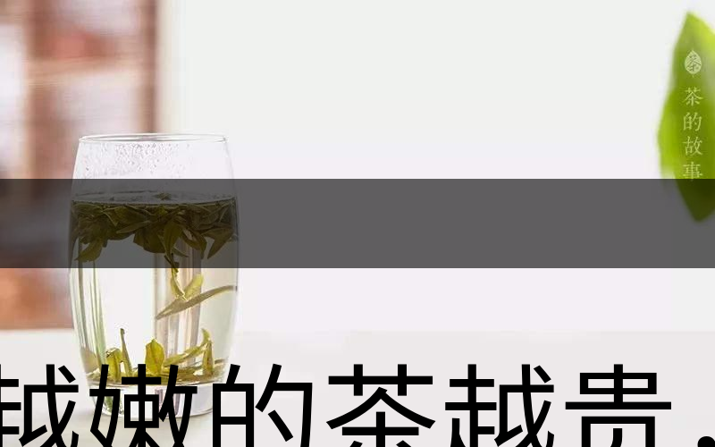 越嫩的茶越貴，但越貴的茶就越好嗎？-2