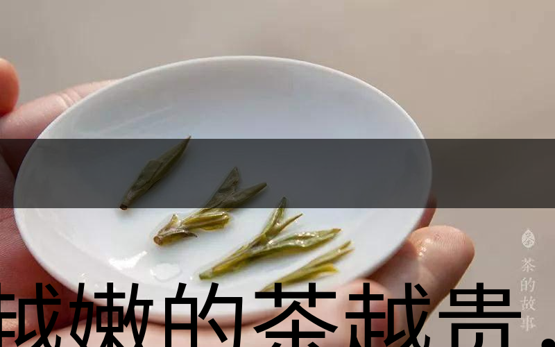 越嫩的茶越貴，但越貴的茶就越好嗎？-3