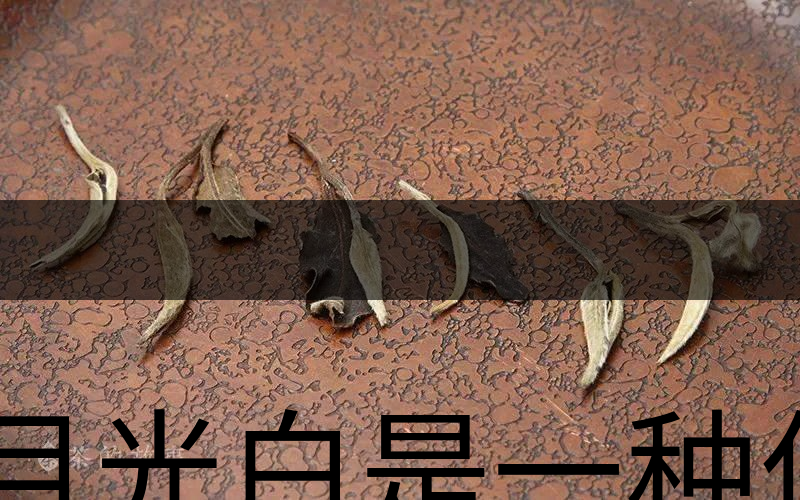 月光白是一種什么茶？-1
