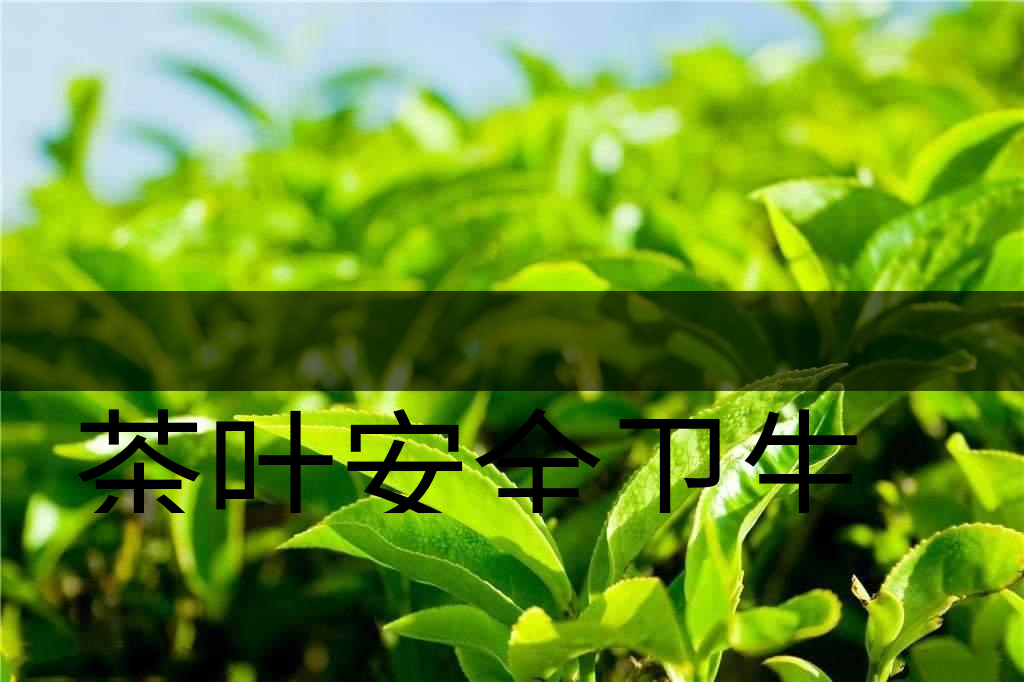 茶葉安全衛(wèi)生與我國(guó)相關(guān)法規(guī)管理體系簡(jiǎn)述（叁）-1