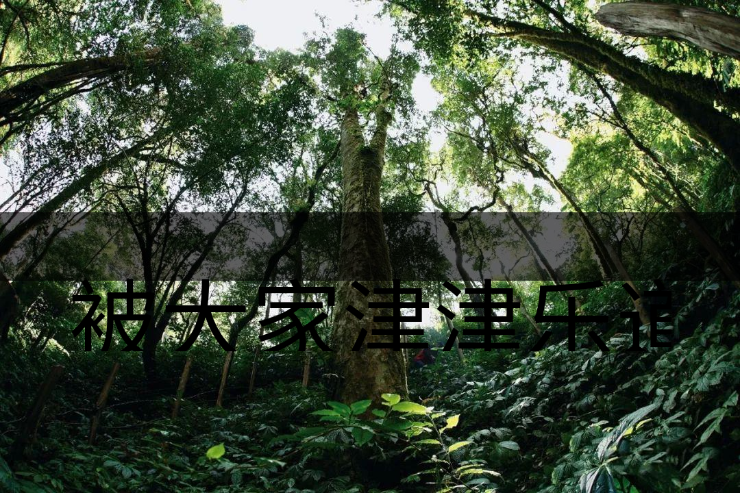 被大家津津樂道的森林茶，你知道是什么？-6-1