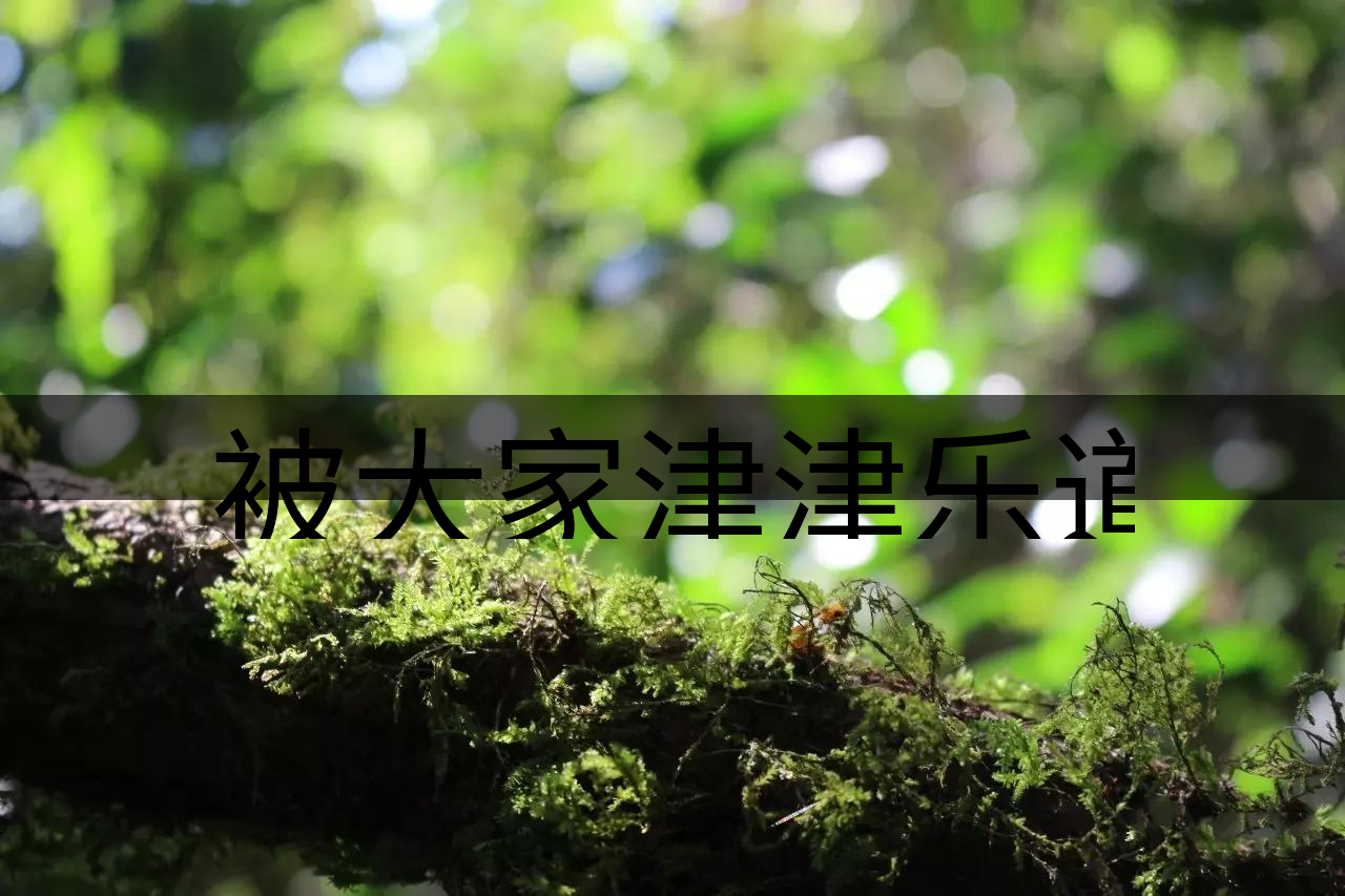 被大家津津樂道的森林茶，你知道是什么？-8-1