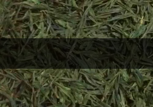 什么是海青茶-怎么泡-1