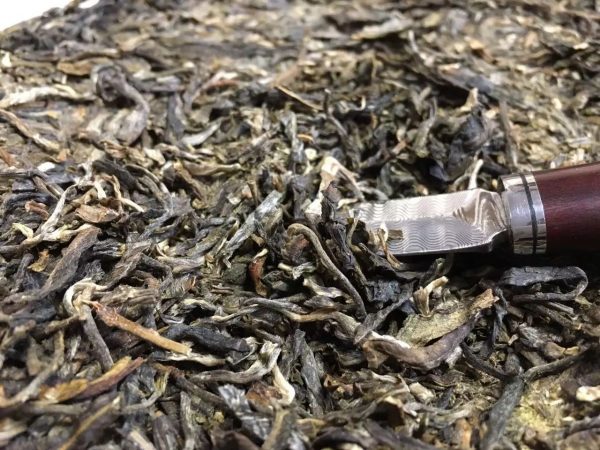 怎么樣泡好落水洞普洱茶？