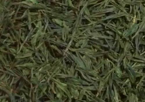 什么是海青茶？沖泡手法詳細(xì)教學(xué)！