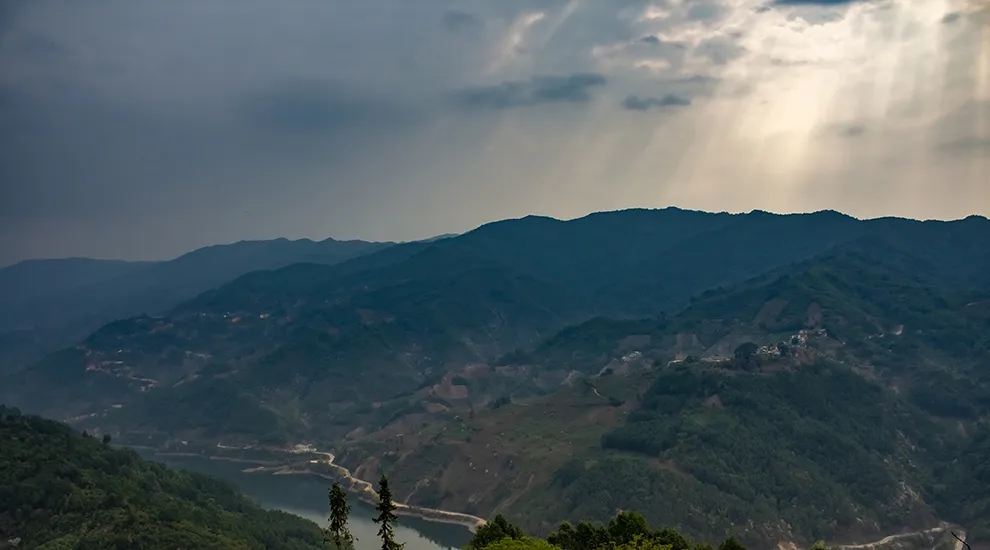 2021年磨烈：風(fēng)頭正勁的后起之秀，到底有何特點(diǎn)？