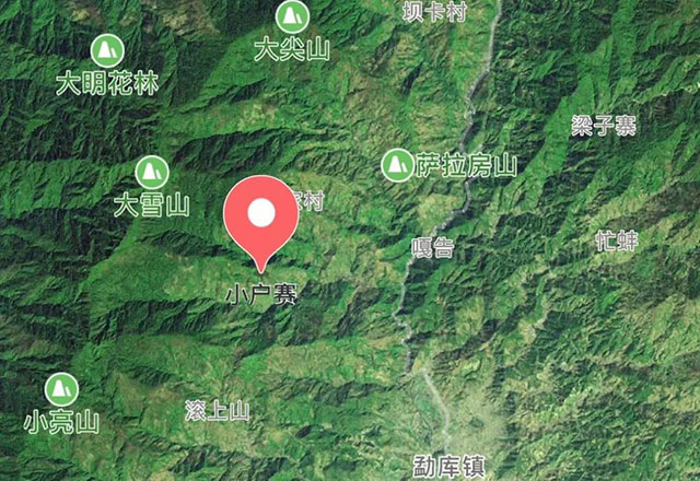 2021年小戶賽古樹秋茶有什么特點(diǎn)？