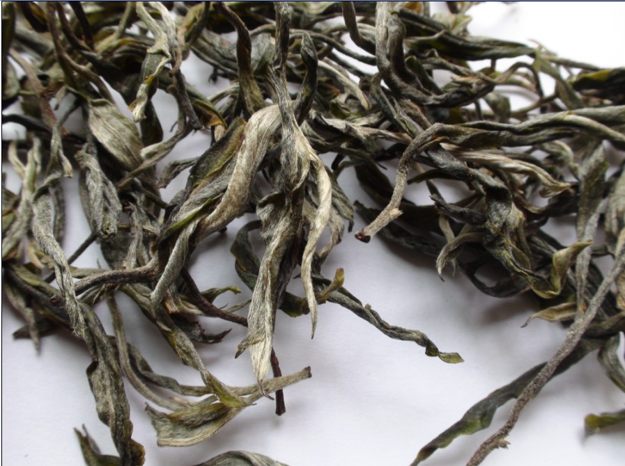 2021年馬鞍山古樹秋茶價(jià)格?