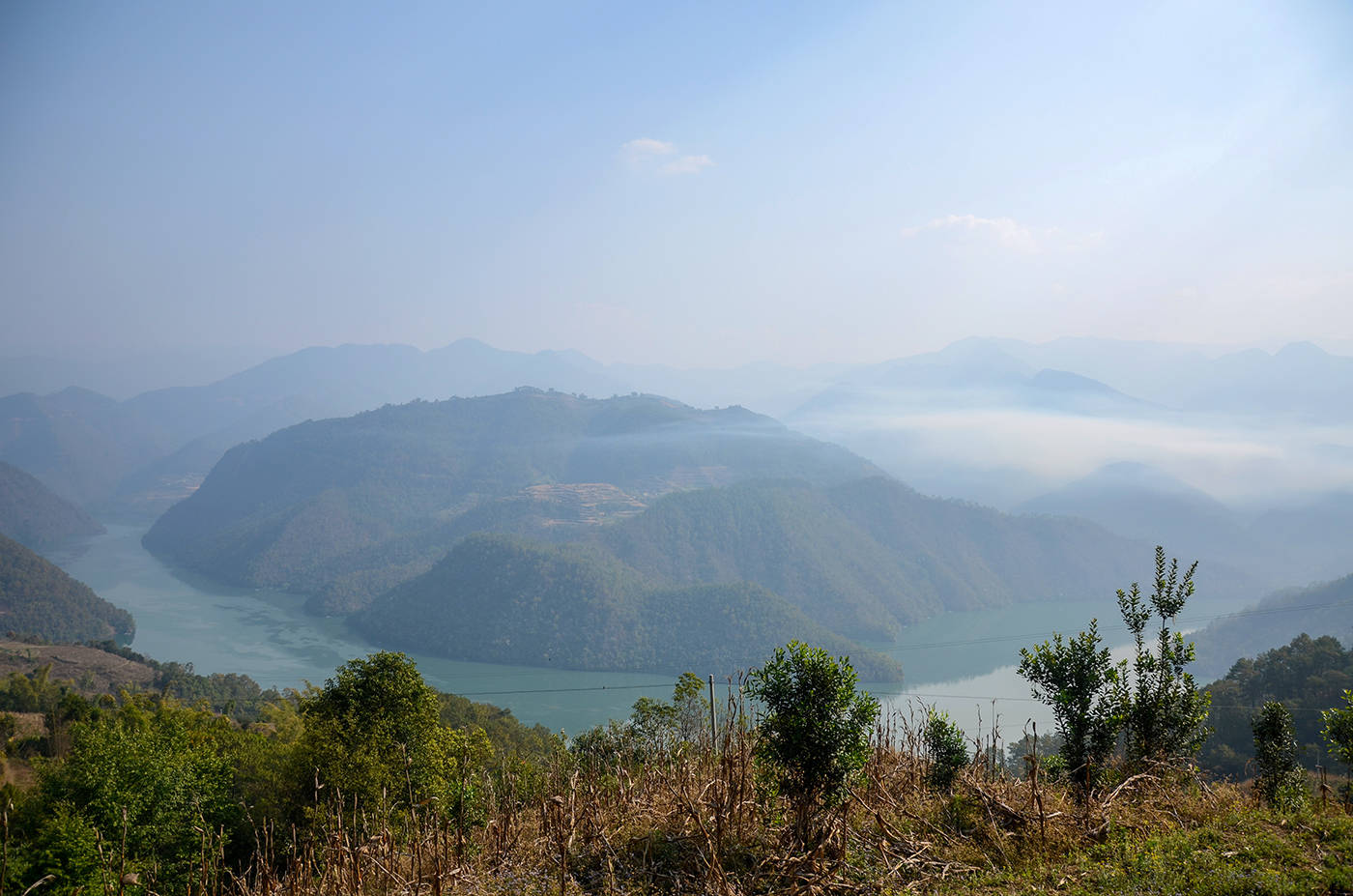 2021年白鶯山古樹秋茶，佛茶有什么魅力？