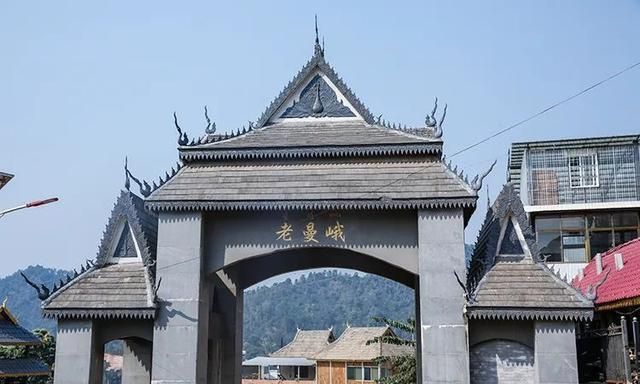 2021年老曼峨古樹秋茶特點(diǎn)？