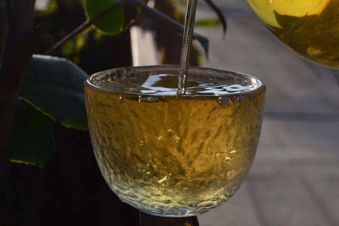 2021班章茶區(qū)壩卡竜古樹秋茶口感是什么？