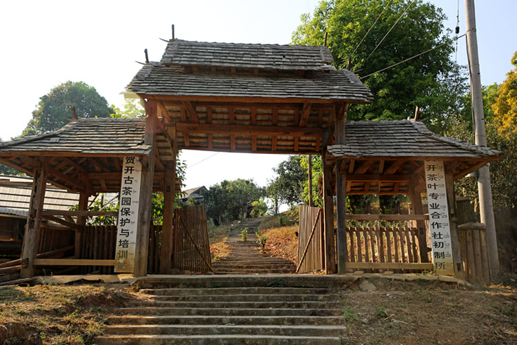 2021年賀開古樹秋茶特點？