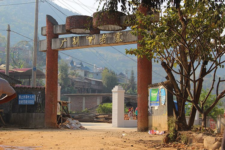 2021年廣別老寨古樹秋茶口感？