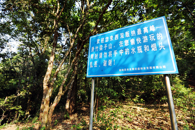 2021年滑竹梁子古樹秋茶價格？