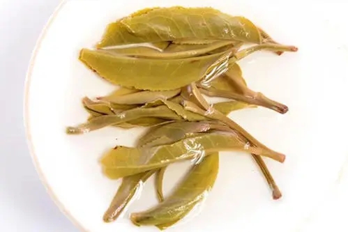 2021年南糯山拔瑪老寨古樹秋茶多少錢一公斤？