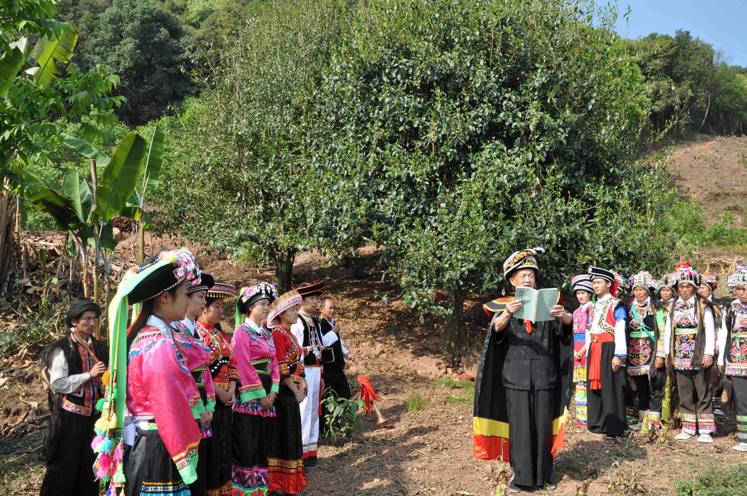 2022年景東御筆古樹春茶多少錢一公斤？