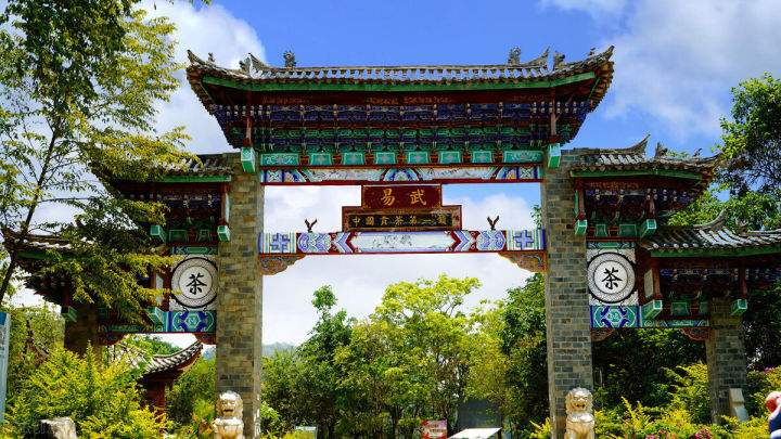 2022年易武正山在哪？易武正山是什么意思？