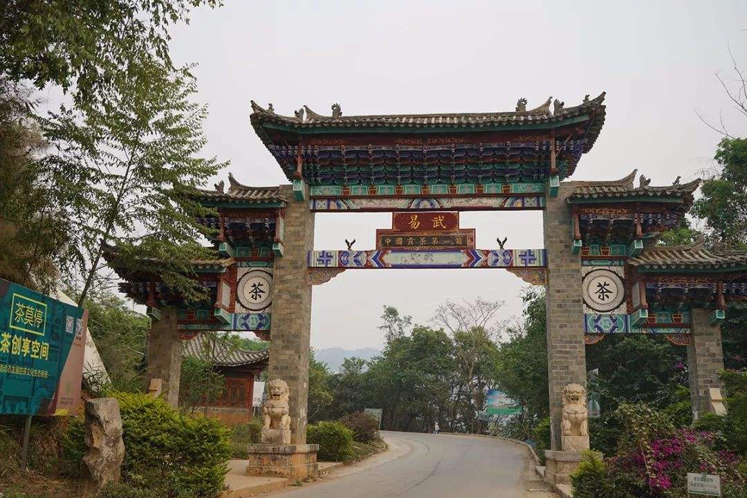 2022年易武正山古樹春茶特點？